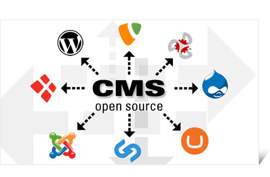 8 Ways To Master The Use Of Open Source CMS
