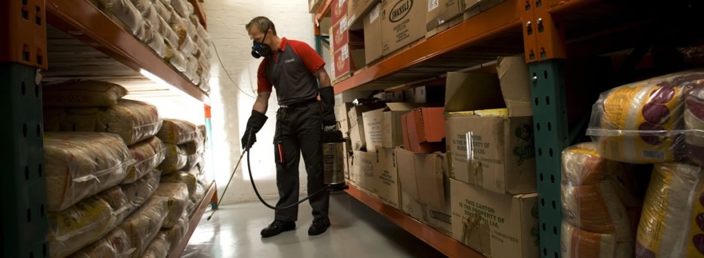 Advantages Of Utilizing Services Of Pest Controllers Middlesex