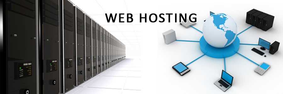 Hostoople Hostnine Review - How To Make Sure That You Choosing The Right Web Hosting Firm?